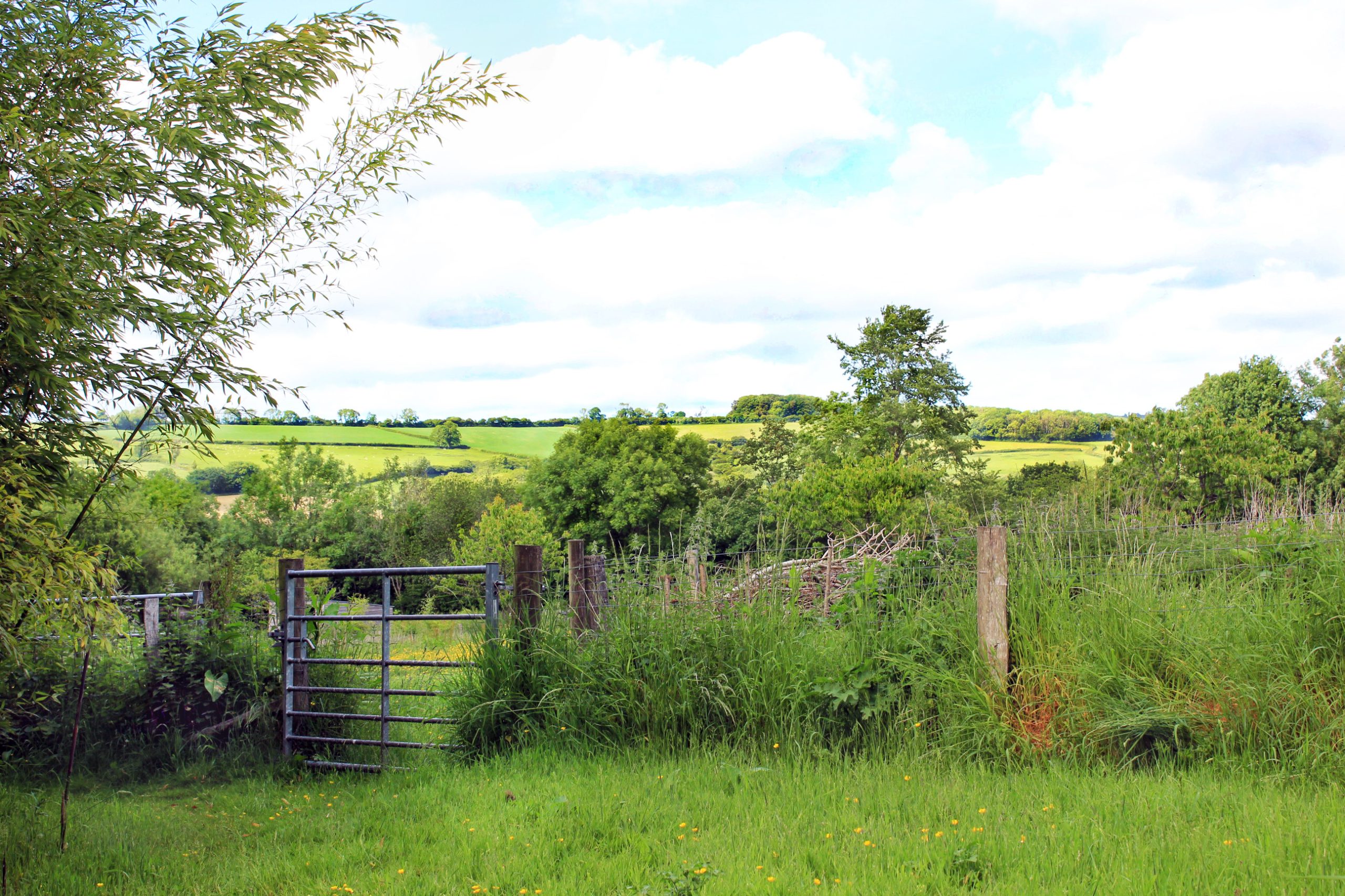 The view from our composting loos!